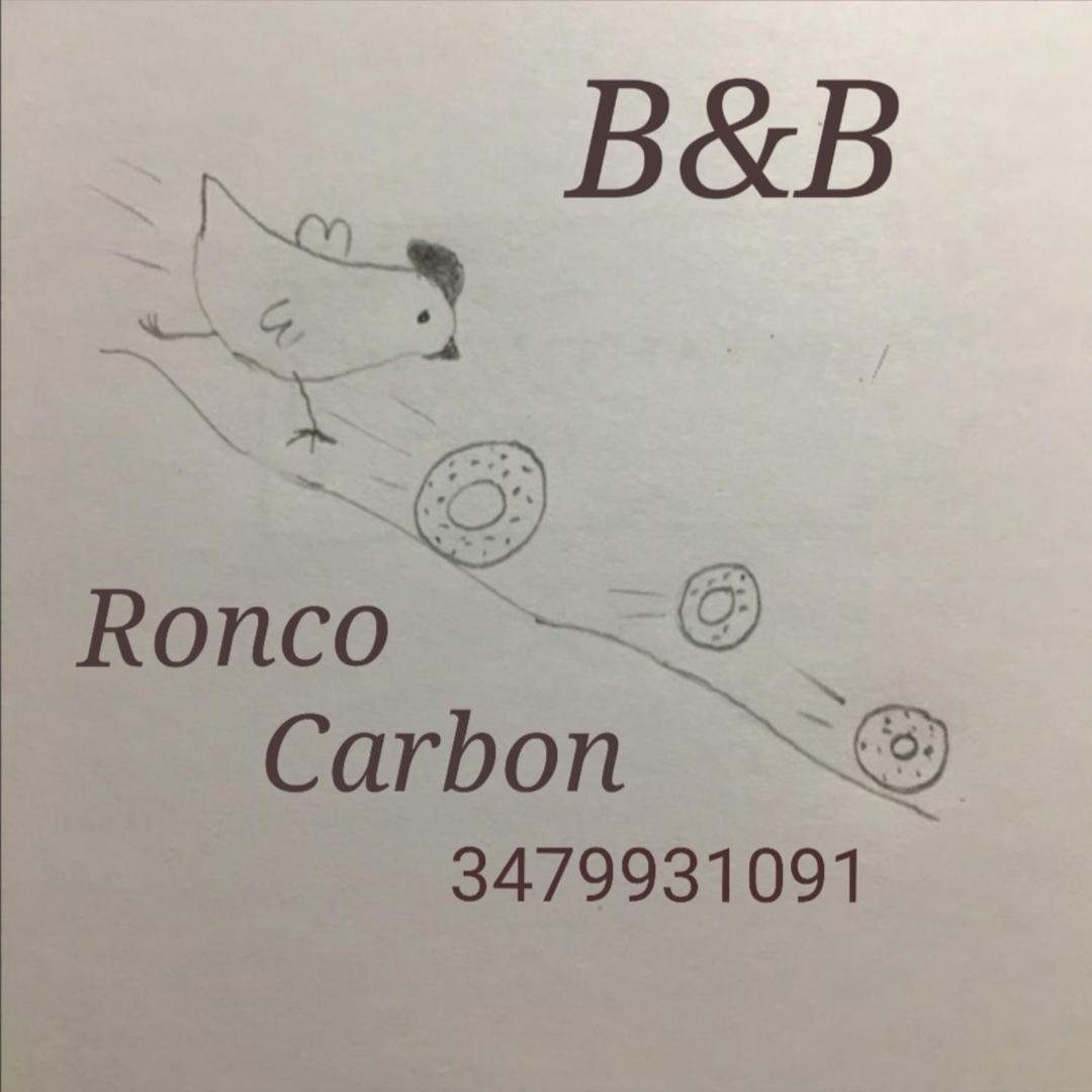 B&B Ronco Carbon Gallio Dış mekan fotoğraf